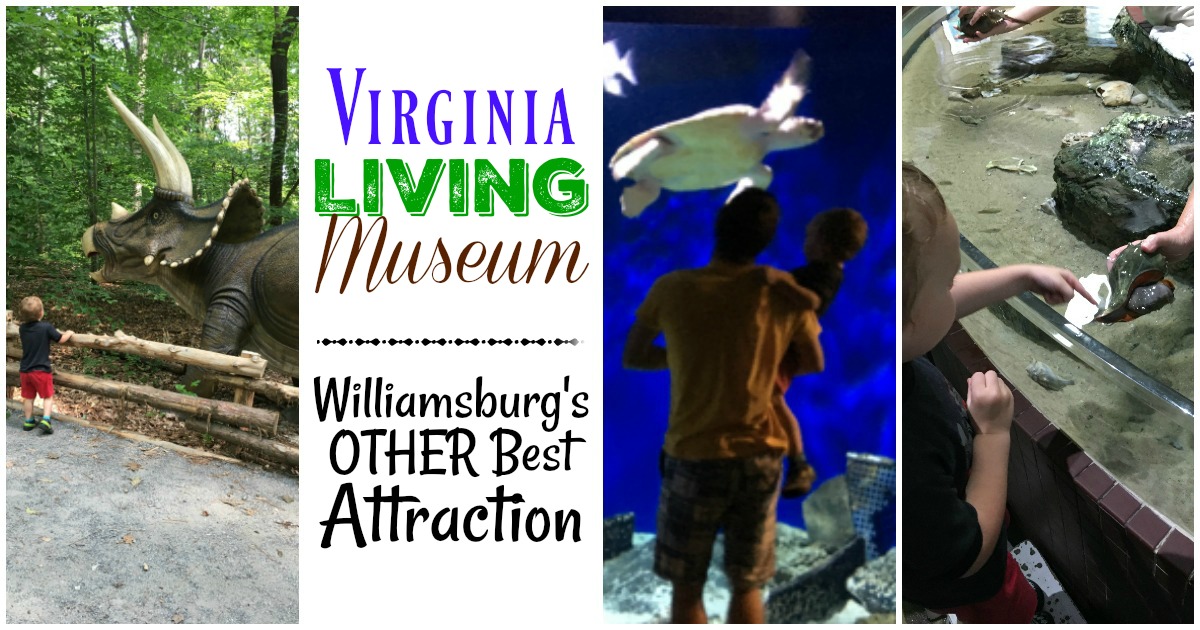 The Virginia Living Museum: Williamsburg's Other Best Attraction   MBA Sahm