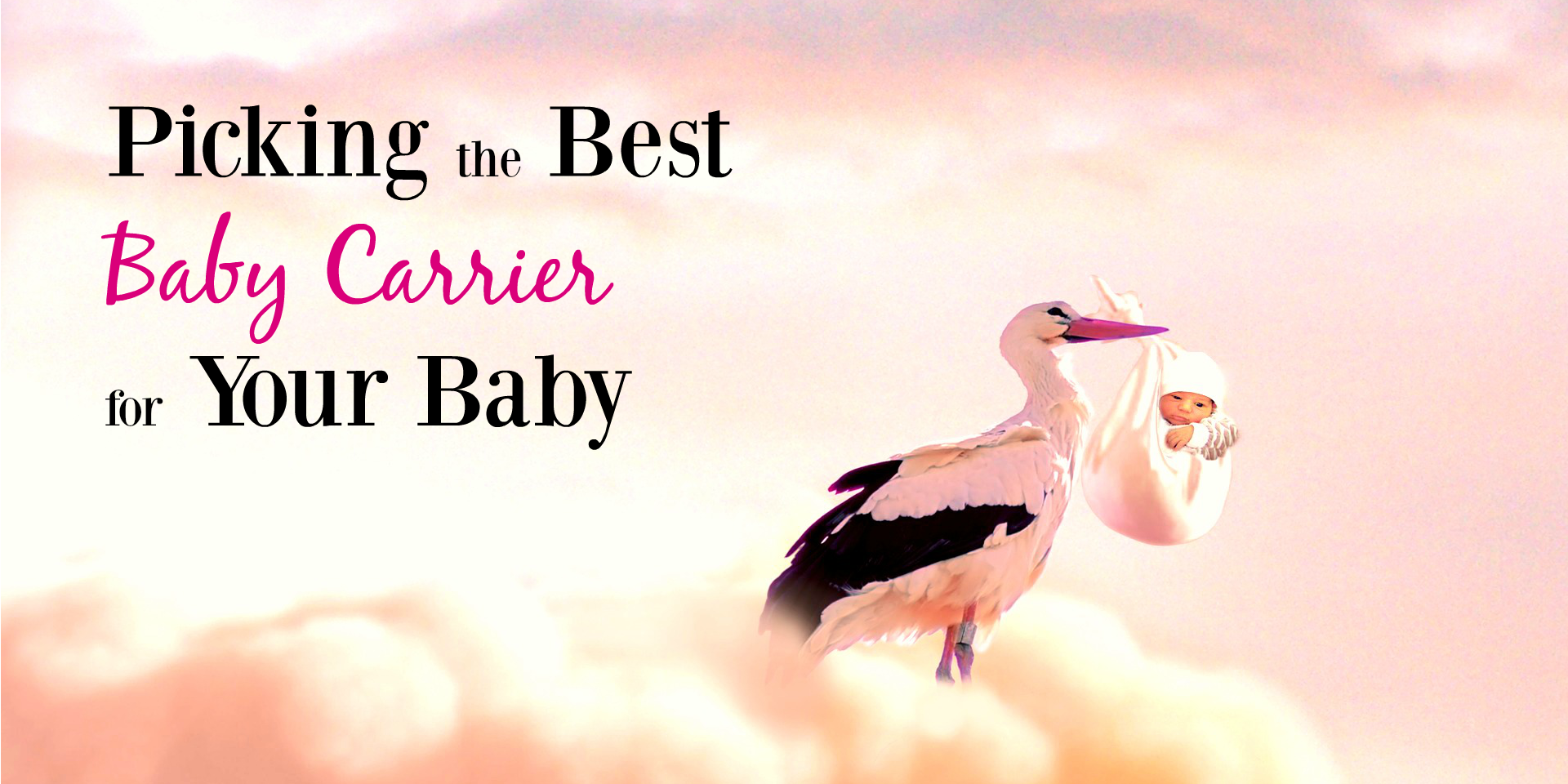 baby carrier bird