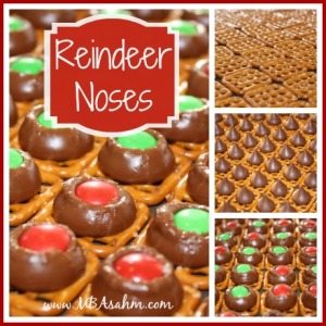 Reindeer Noses 