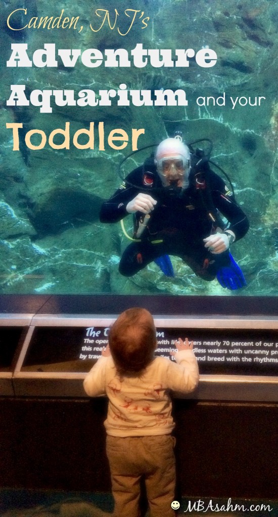 Camden NJ Adventure Aquarium and Your Toddler