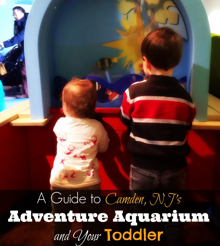 The Kid Zone at Adventure Aquarium Camden NJ