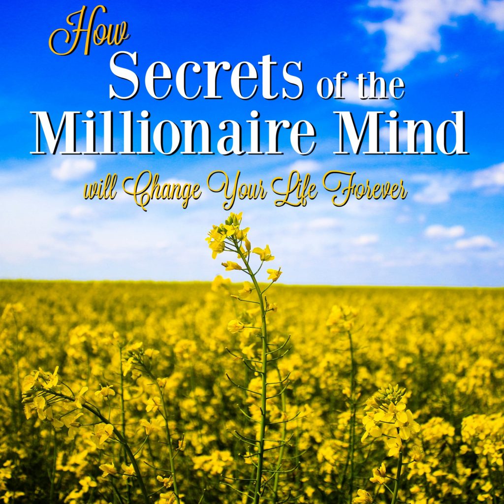 Secrets of the Millionaire Mind is one of the greatest inspirational books I've ever read. It's a total game-changer! 