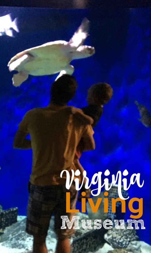 The Virginia Living Museum's indoor exhibits included an amazing aquarium and a limestone cave!