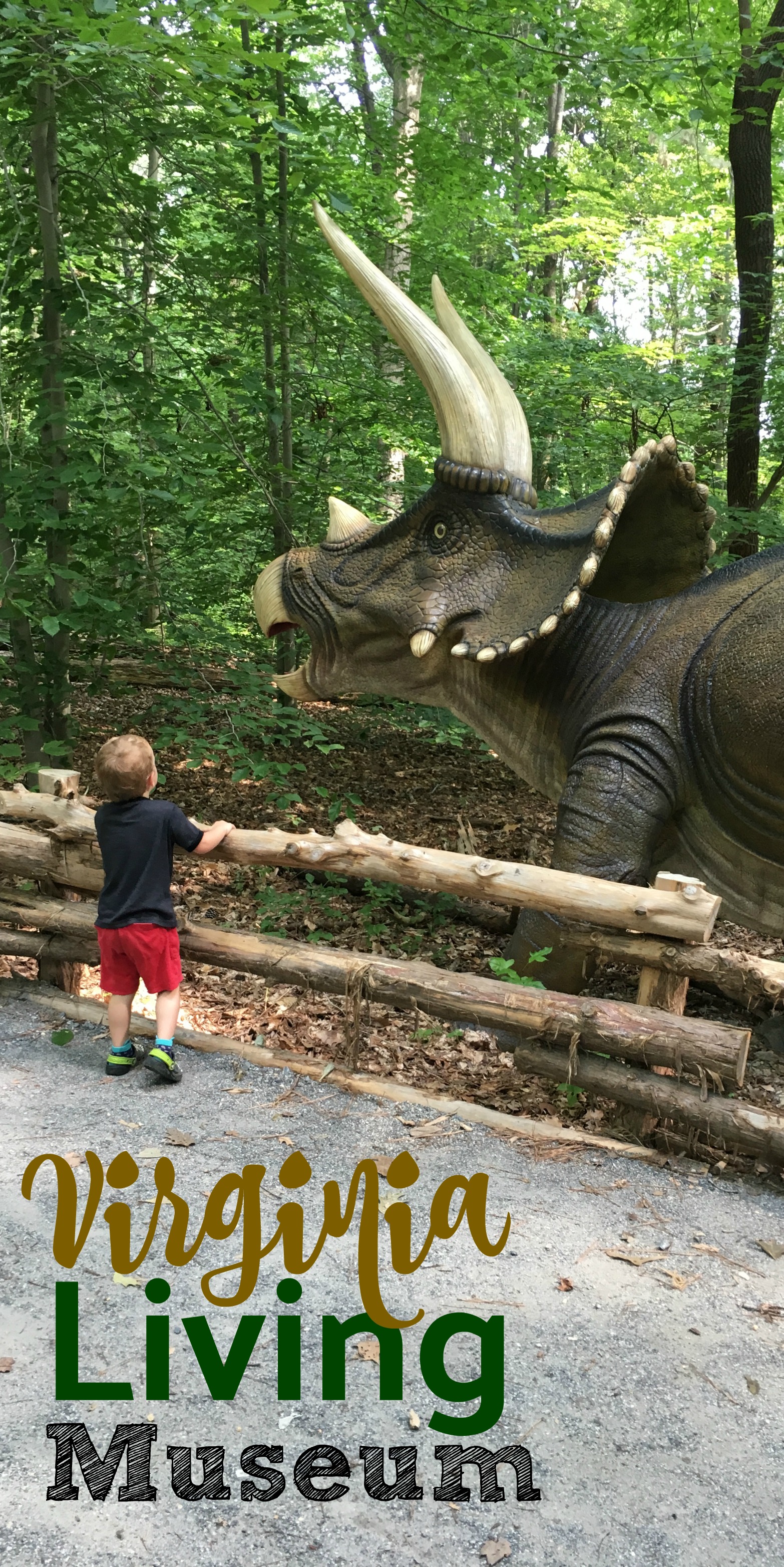 The Virginia Living Museum: Williamsburg's Other Best Attraction - MBA sahm