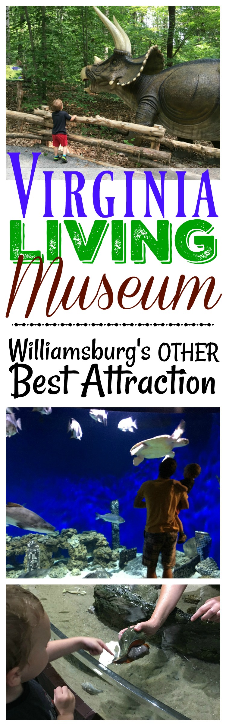 The Virginia Living Museum was definitely one of the best places to take a toddler in Williamsburg, VA! With air conditioning and outdoor exhibits, you can't go wrong!