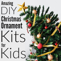 A Fun Family Holiday Craft: DIY Ornament Kits for Kids